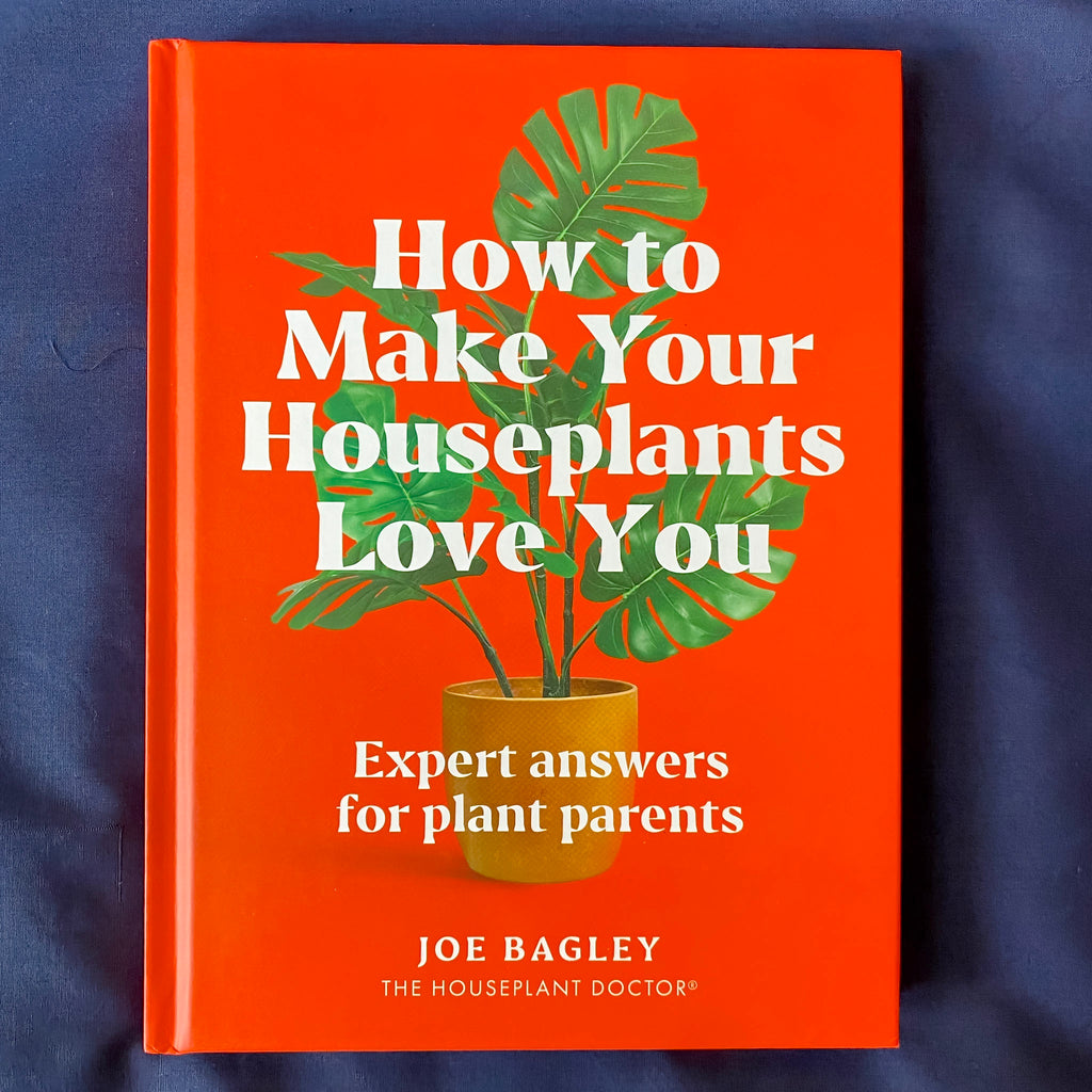 How to Make Your Houseplants Love You: Expert Answers for Plant Parents - Lyla's: Clothing, Decor & More - Plano Boutique